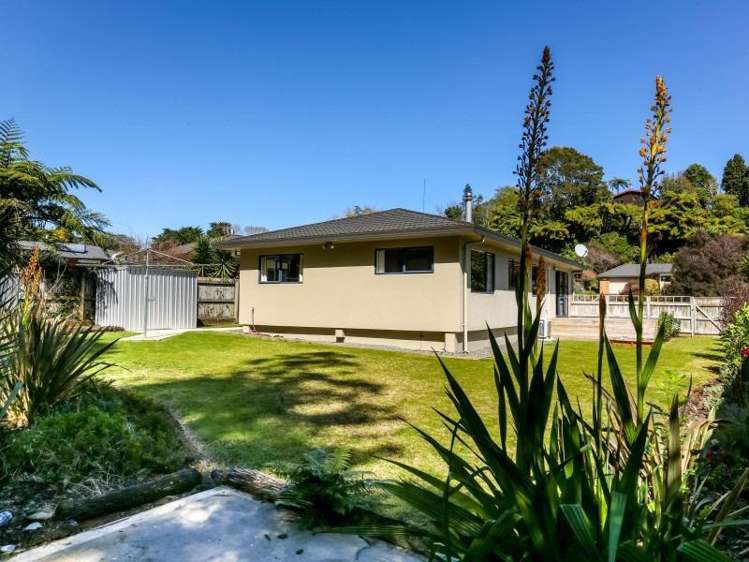 55 Roto Street Hurdon_5