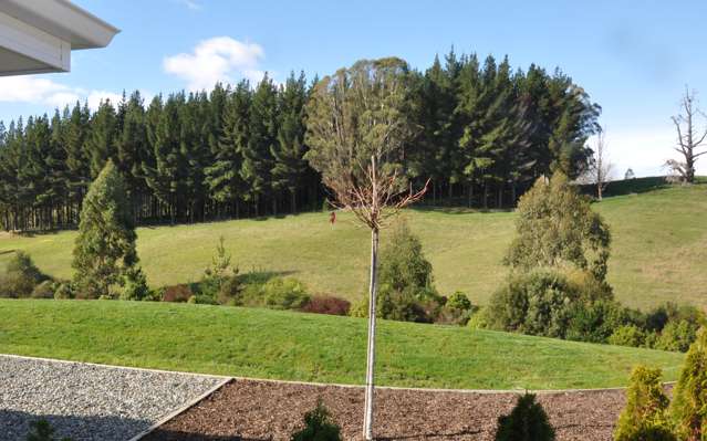 113 Redvale Road Redwood Valley_3