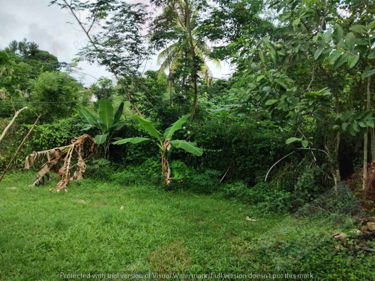 Address withheld Labasa_13