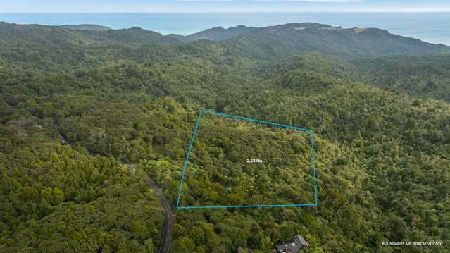 254 Piha Road Piha_2