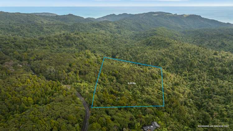 254 Piha Road Piha_2