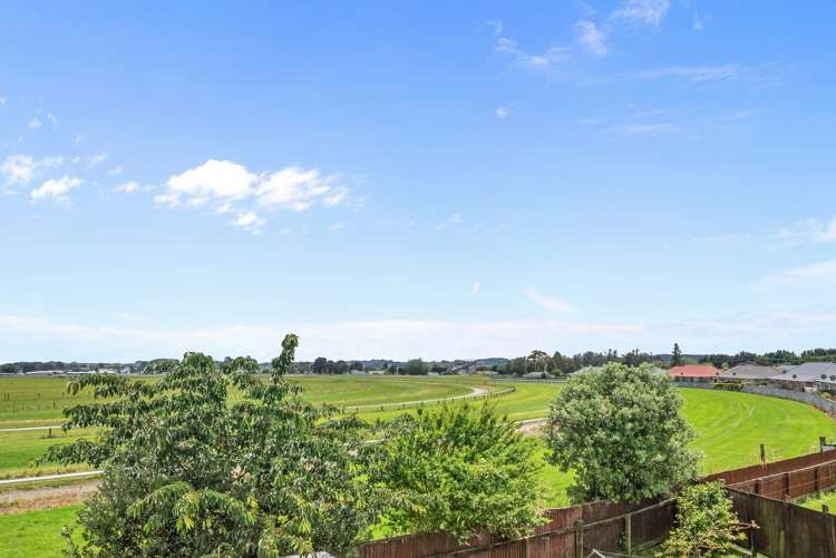 22 Mahoe Street Levin_5