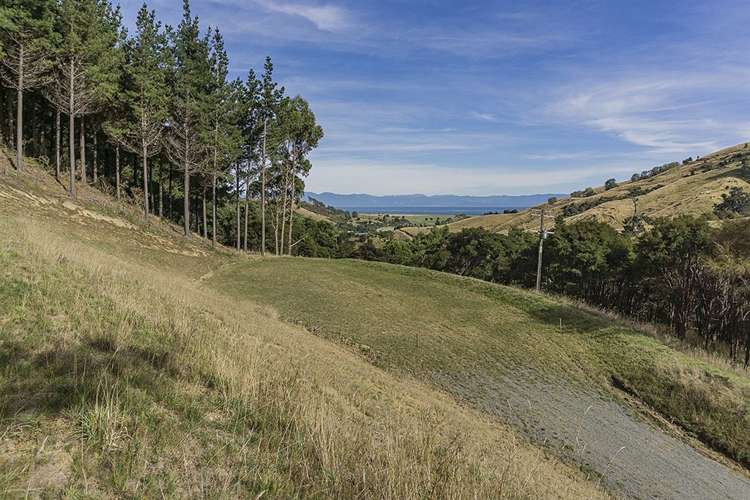 584 Wakapuaka Road Wakapuaka_9