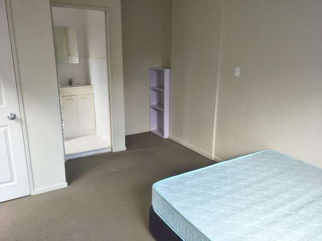 828A Manukau Road Royal Oak_1