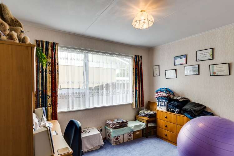 31 Plunket Street Tamatea_7