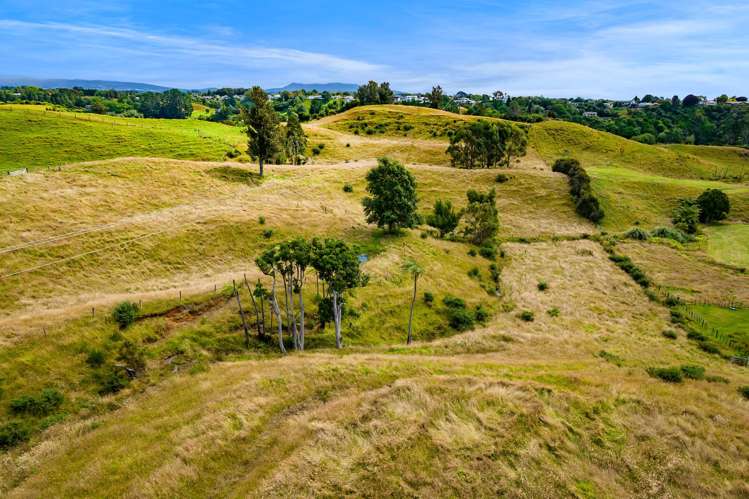 282 Smart Road Hillsborough_28