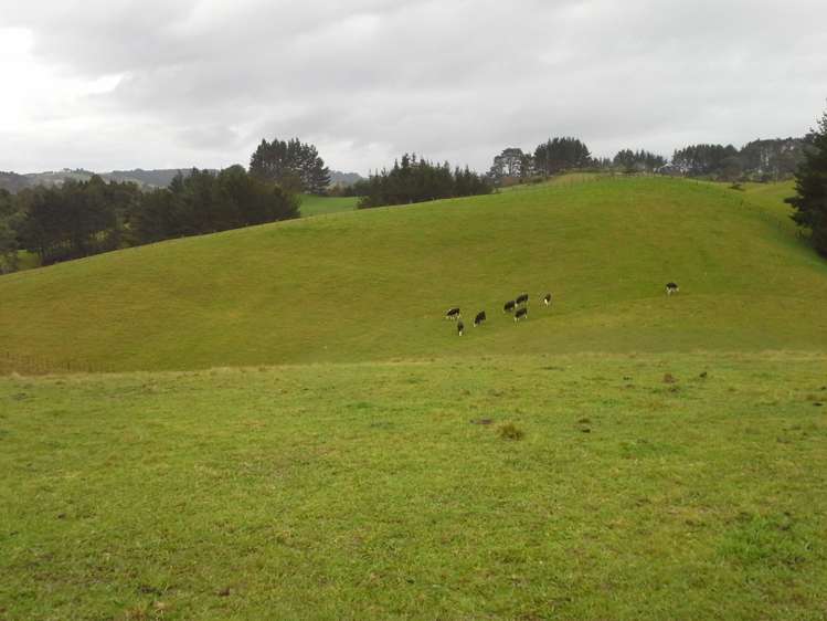 86 Brookby Road Brookby_17