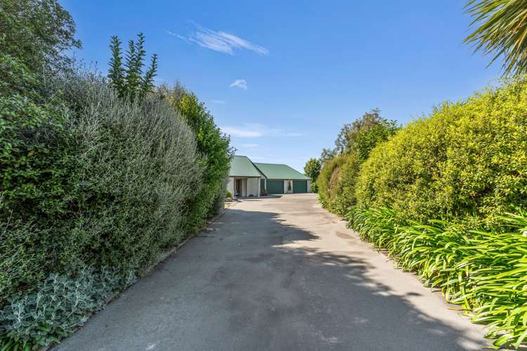 18 Campbell Street_4