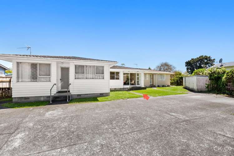 2/52A Wilford Street Wallaceville_18