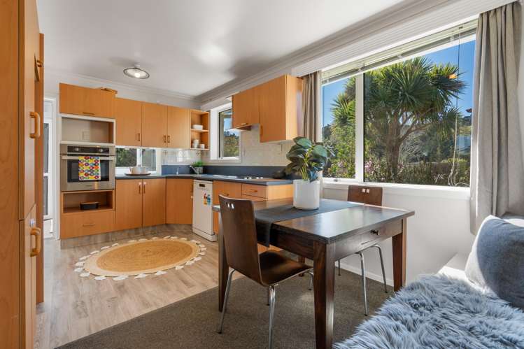 411 Pine Hill Road Pine Hill_7