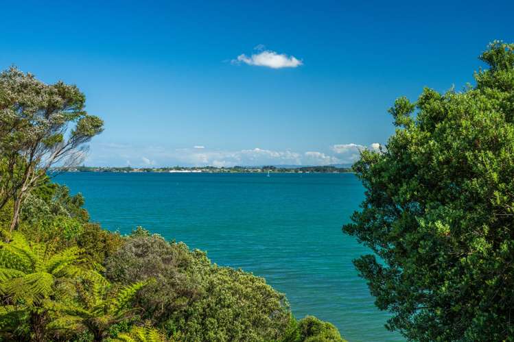 194 Manganese Point Road Tamaterau_10