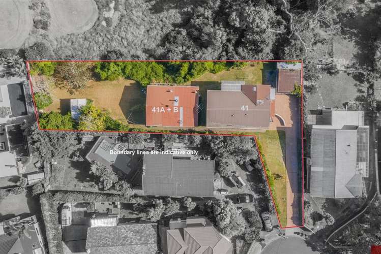 41 & 41A Budgen Street Mount Roskill_4