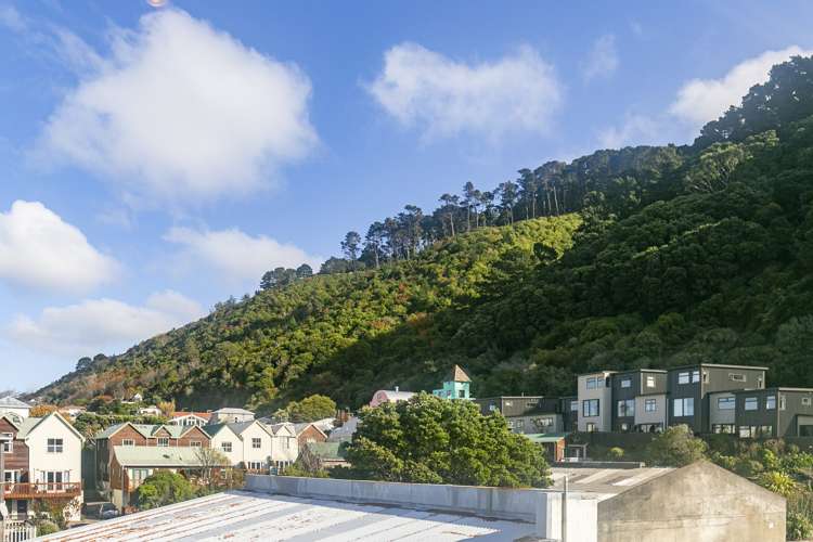 37 Little George Street Thorndon_16