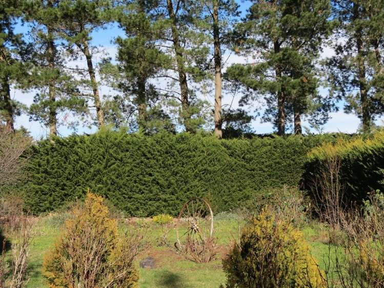 32 Cornwall Terrace Balcairn_11