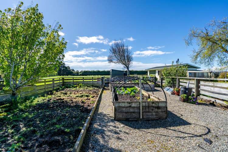 719 Ryal Bush Wallacetown Road Wallacetown_16