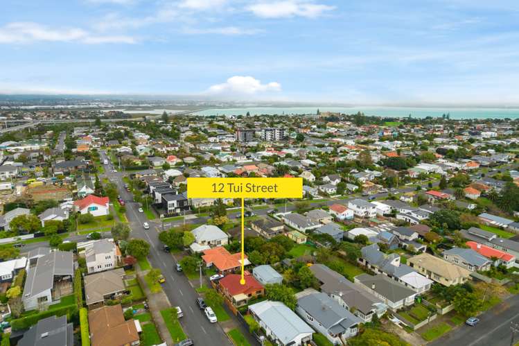 12 Tui Street Point Chevalier_18