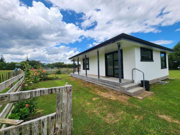  42 Watt Livingstone Road Westmere_14