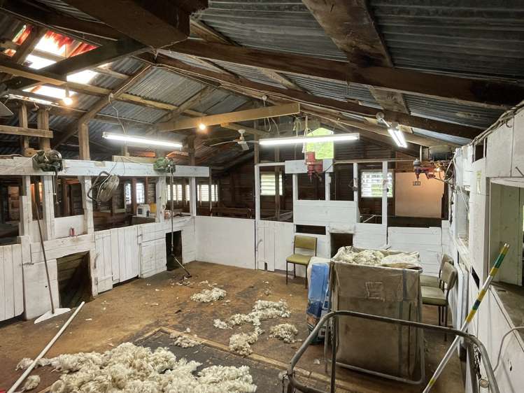 166 Saddler Road Ruapehu_32