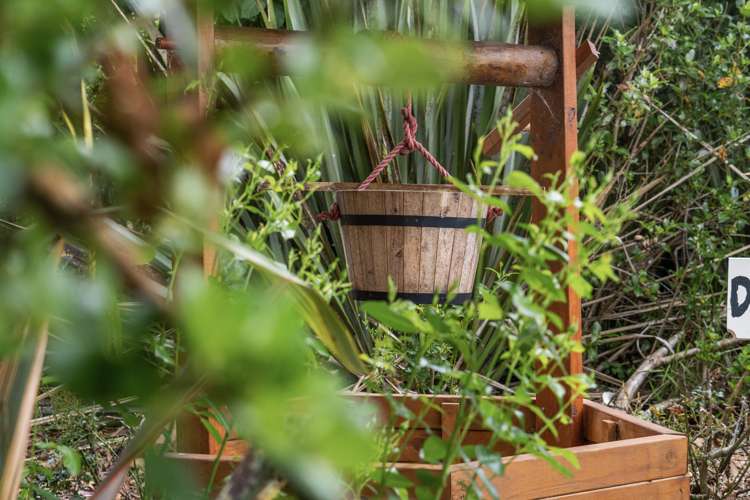 27 Dingle Road Morrinsville_35