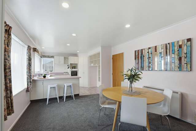 31A Plunket Street Spreydon_4