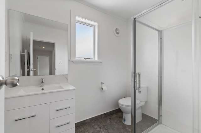 5 Blease Street New Lynn_4