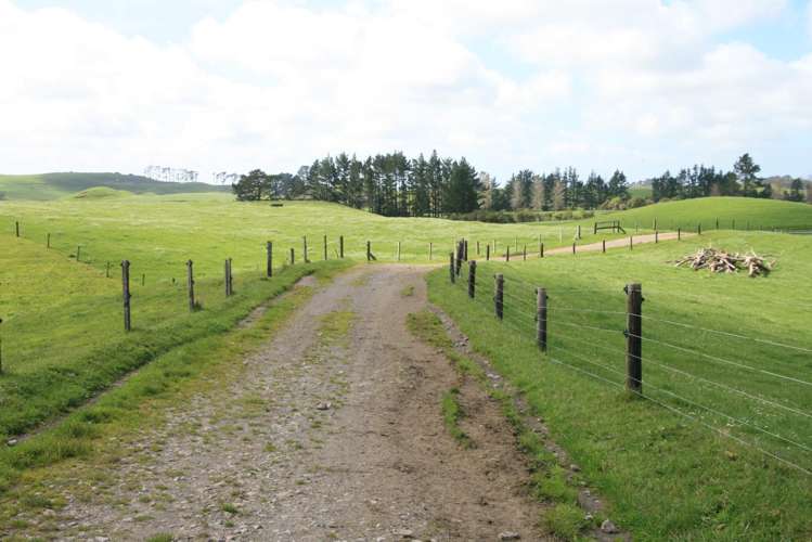 828 Hursthouse Road Inglewood_19