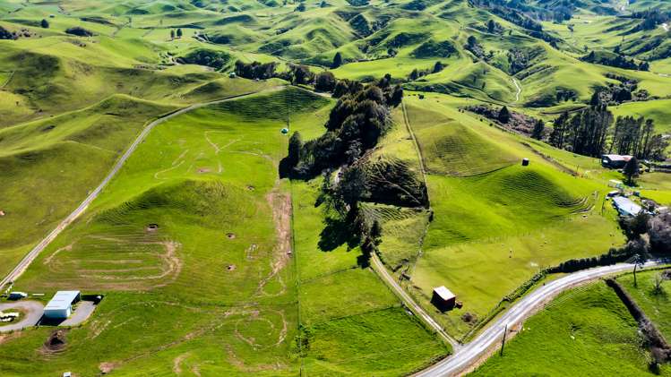 821 Tariki Road Ratapiko_17