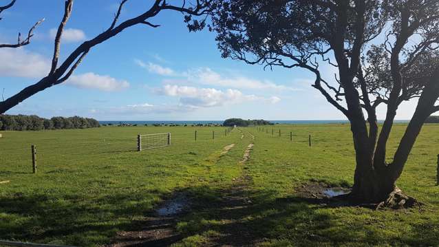 4581 South Road Opunake_3