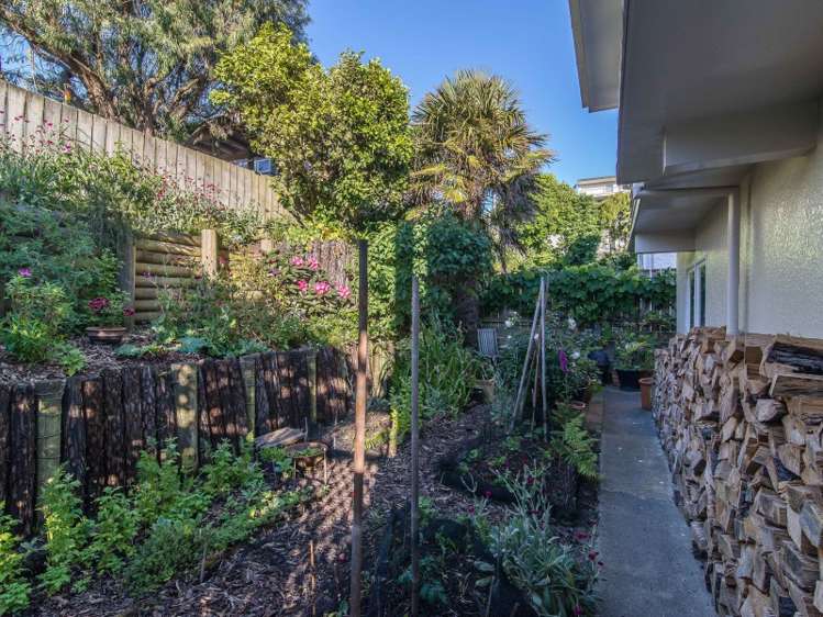 41 Moxham Avenue Hataitai_11