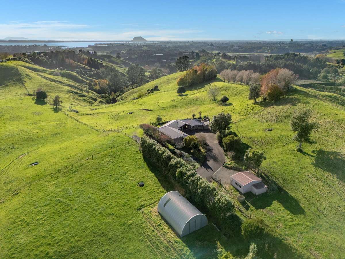 164C Crawford Road_0