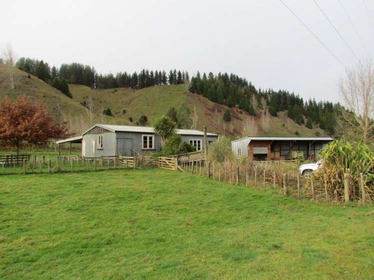 162 Owen Valley East Road Kahurangi National Park_1