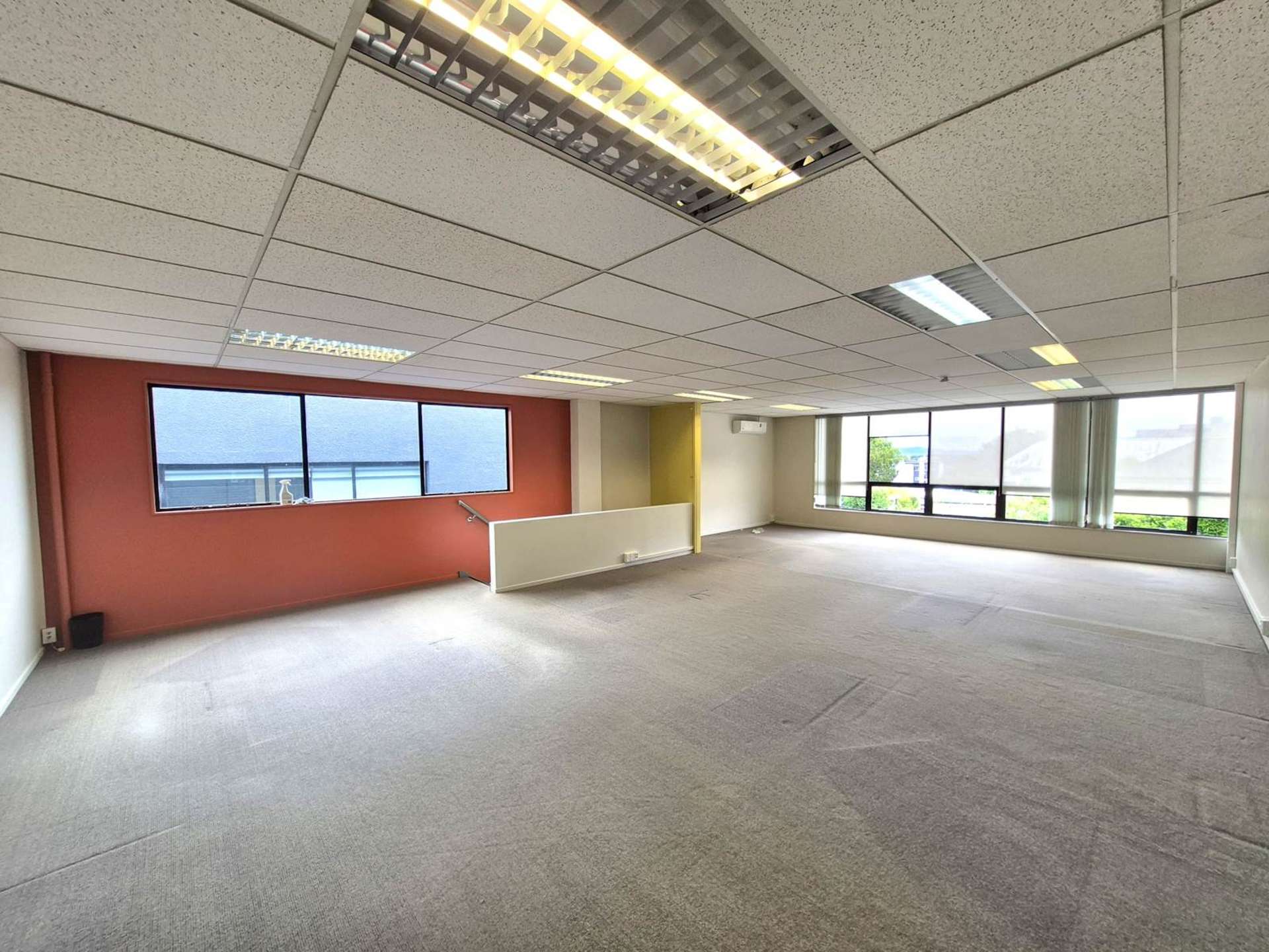 123C Dominion Road Mt Eden_0