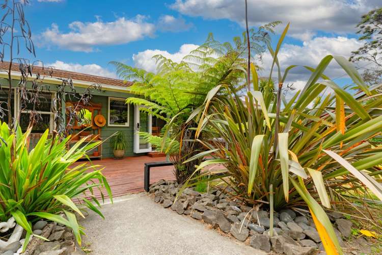 18 Steam Hauler Track Waitakere_25