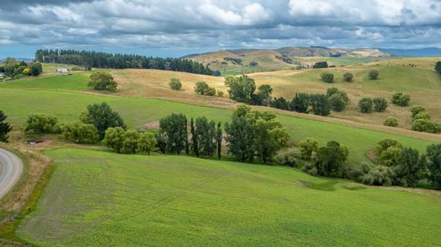 917 Ugly Hill Road Central Hawkes Bay Country_1