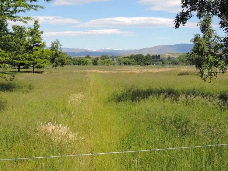 52 Crawford Hills Road Alexandra_13