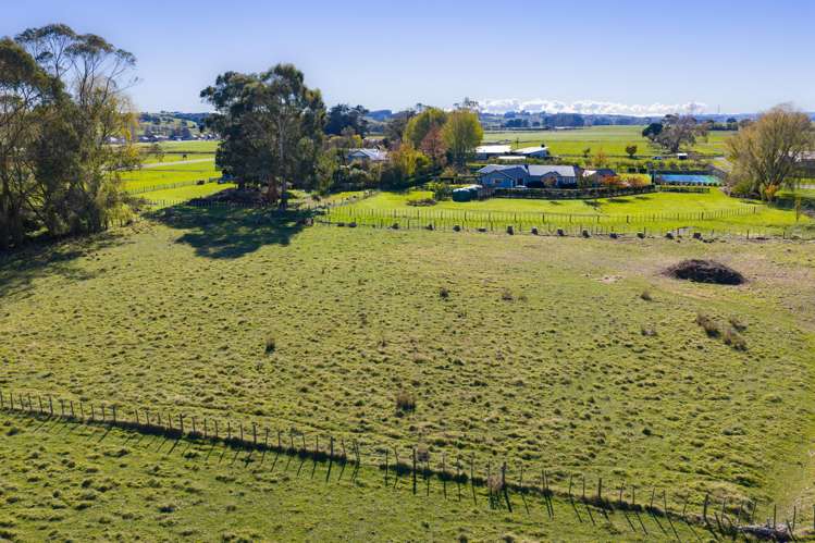 Turoa Street Feilding_2
