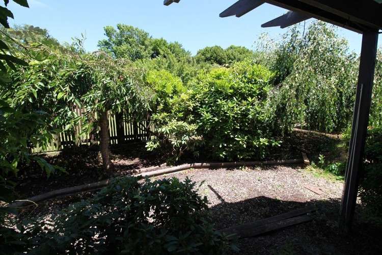 15 Wilson Street Bulls_36