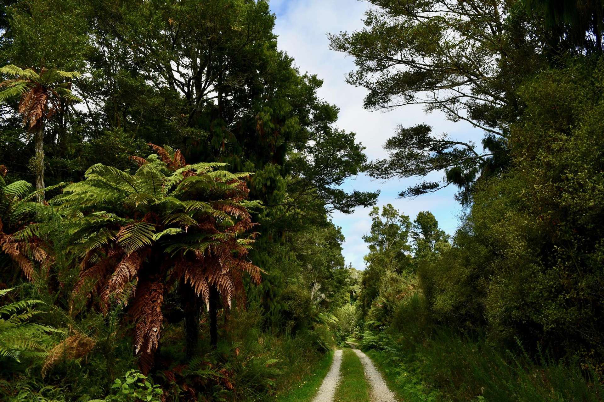 70 Sunset Heights Road Karamea_0