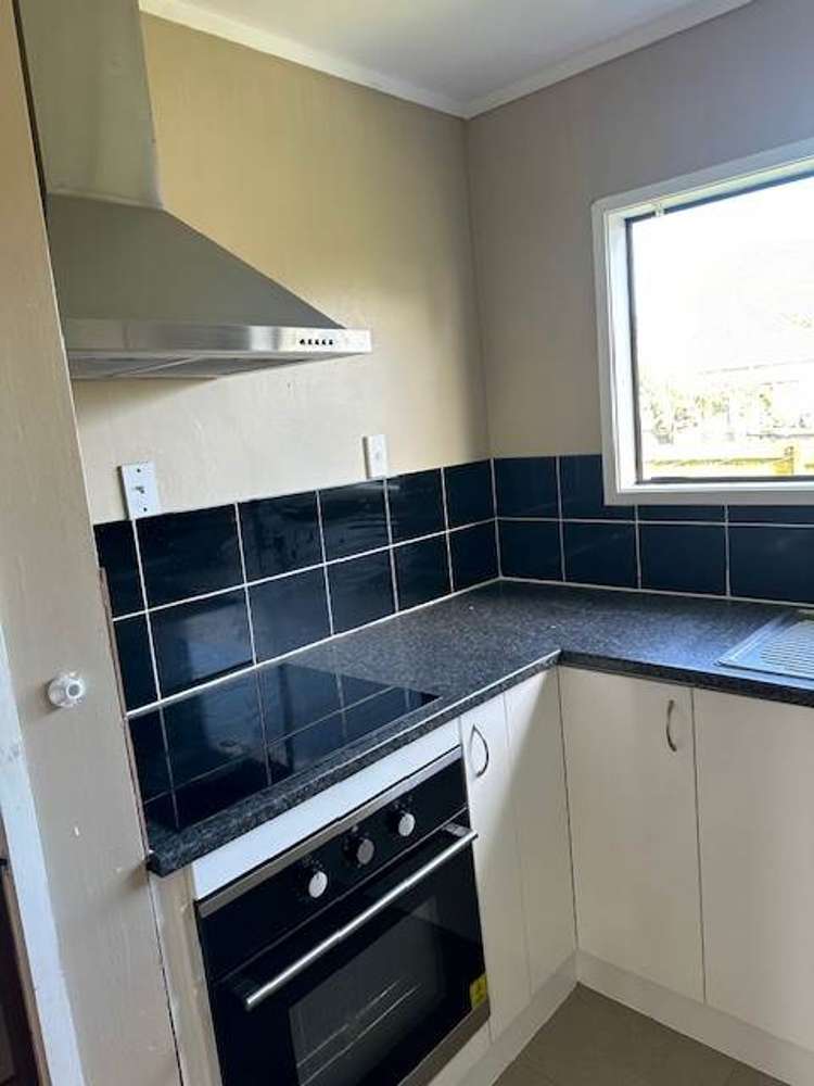 12 Finlayson Avenue Clendon Park_3