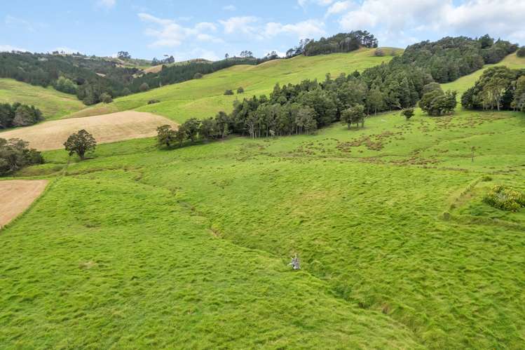 265 Taipuha Road Mangapai and Surrounds_18