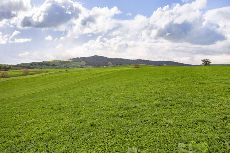 Piakonui Road Richmond Downs_10