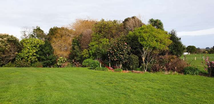 1343 Devon Road Waitara_24