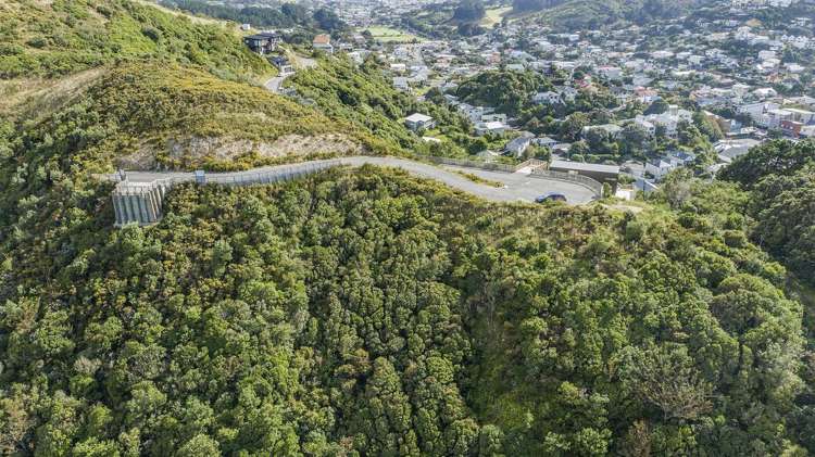 Lot 24, 75 Rhine Street Island Bay_7