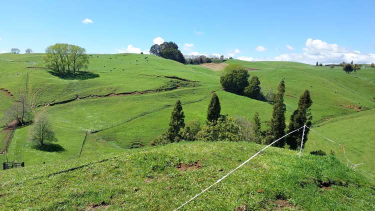 Lot 2 Tate Road Te Kuiti_2