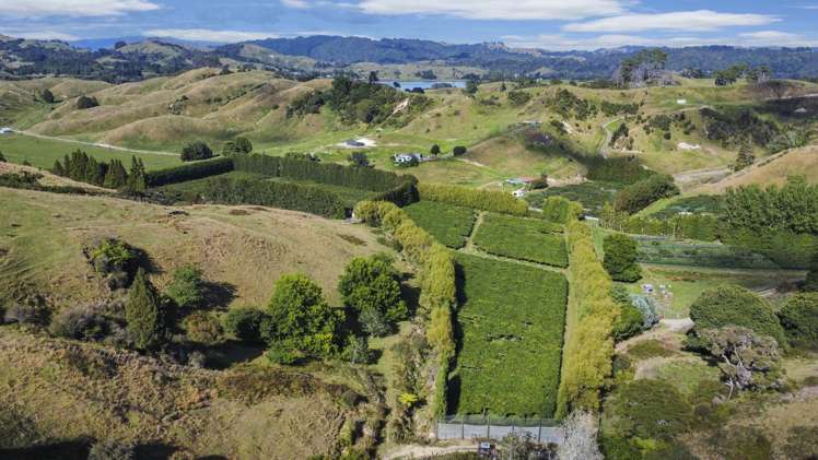 443C State Highway 2 Opotiki_13