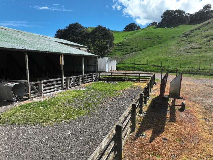 2829 Puketitiri Road Patoka_13