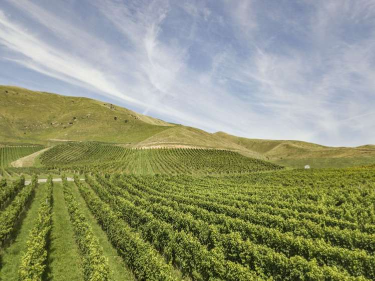 149 Wrekin Road Fairhall_7