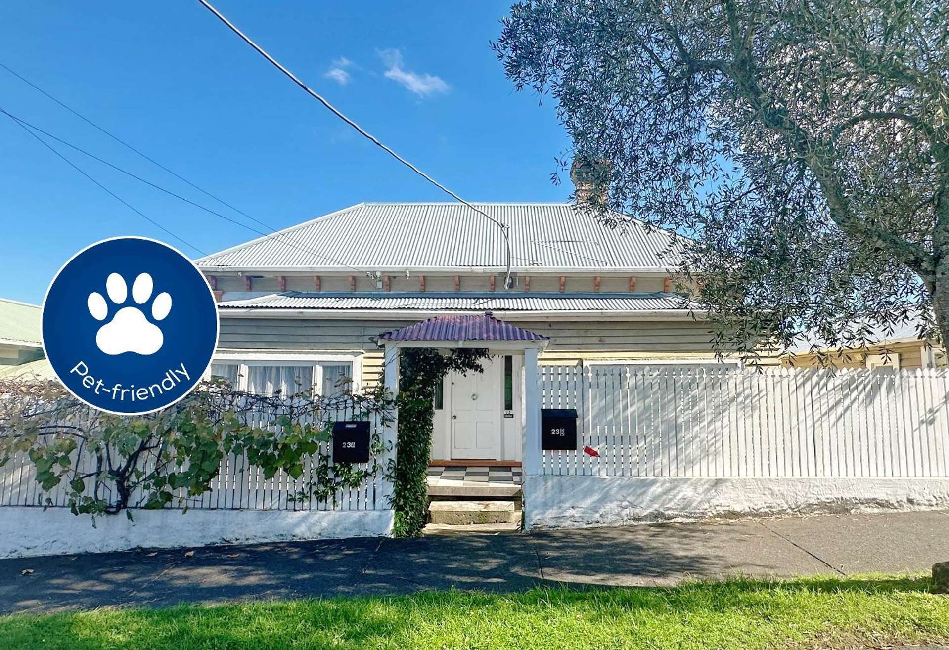 23 Commercial Road Grey Lynn_0