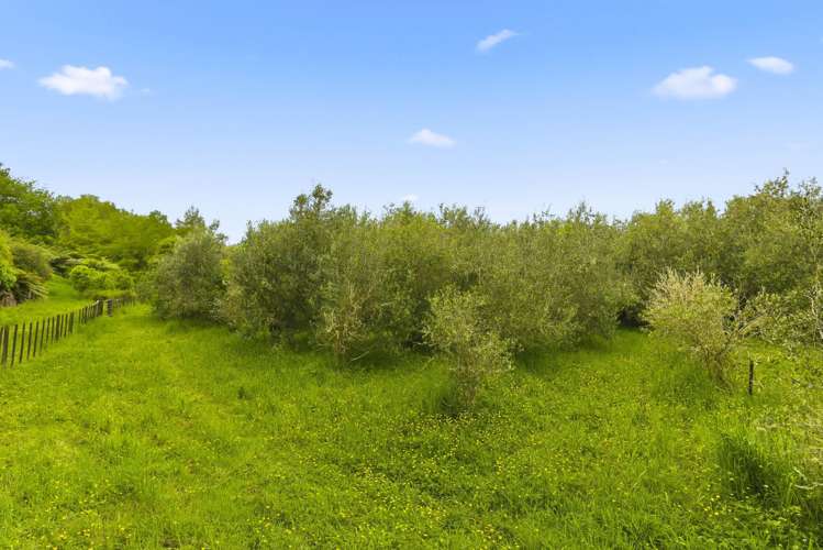 258 Waitohu Valley Road Otaki_39