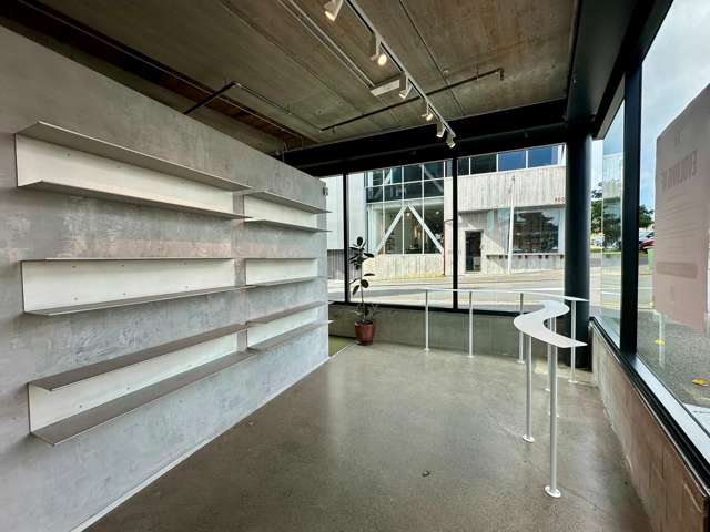 5 Crummer Road Grey Lynn_1